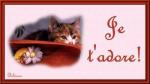 Mon skyblog  VIP